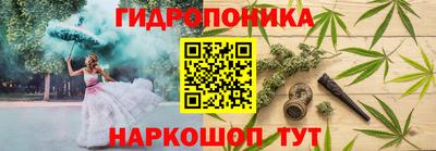 каннабис Берёзовский