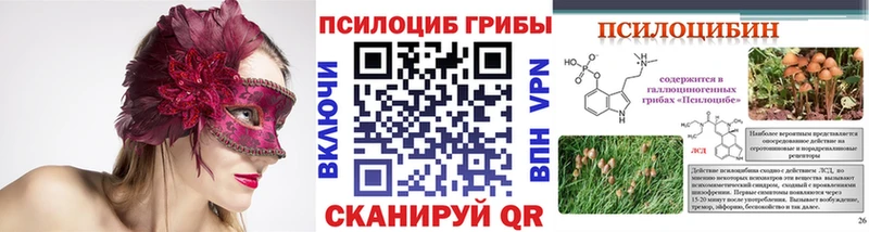 Псилоцибиновые грибы Cubensis  МЕГА рабочий сайт  Большой Камень  где купить  