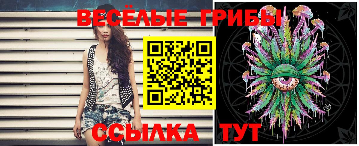 наркошоп  Большой Камень  Псилоцибиновые грибы Cubensis 