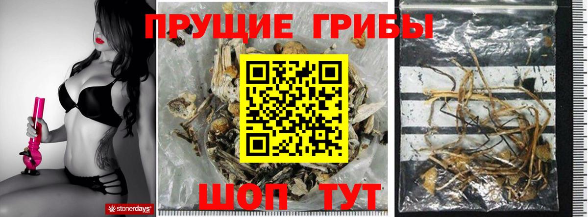 Галлюциногенные грибы Magic Shrooms Большой Камень