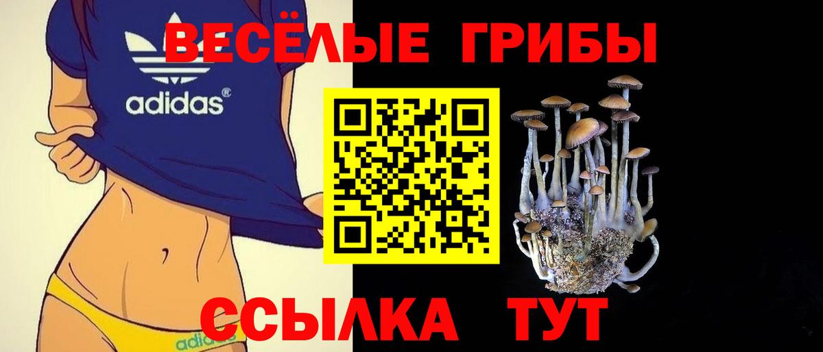 купить  сайты  Галлюциногенные грибы Psilocybine cubensis  Вход с VPN  Большой Камень 