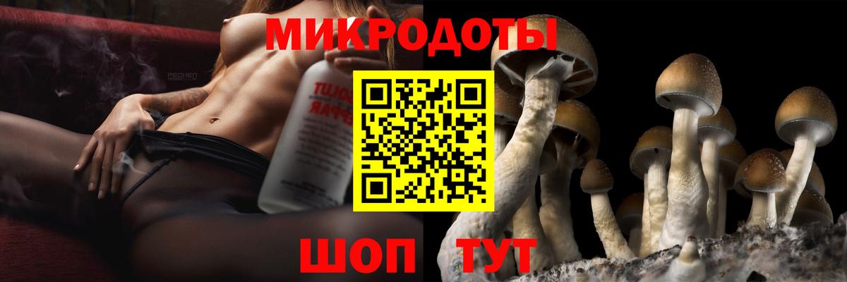 Галлюциногенные грибы мухоморы Большой Камень