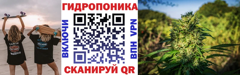 Шишки марихуана сатива  Большой Камень 